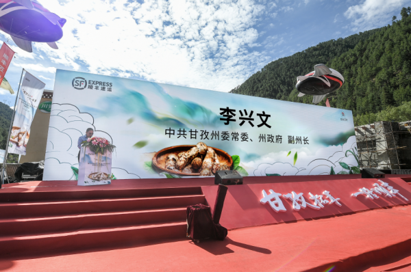 大(dà)疆無人(rén)機助力松茸出(chū)山  攜手甘孜政府助推松茸産業升級